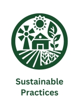 Sustainable Practices